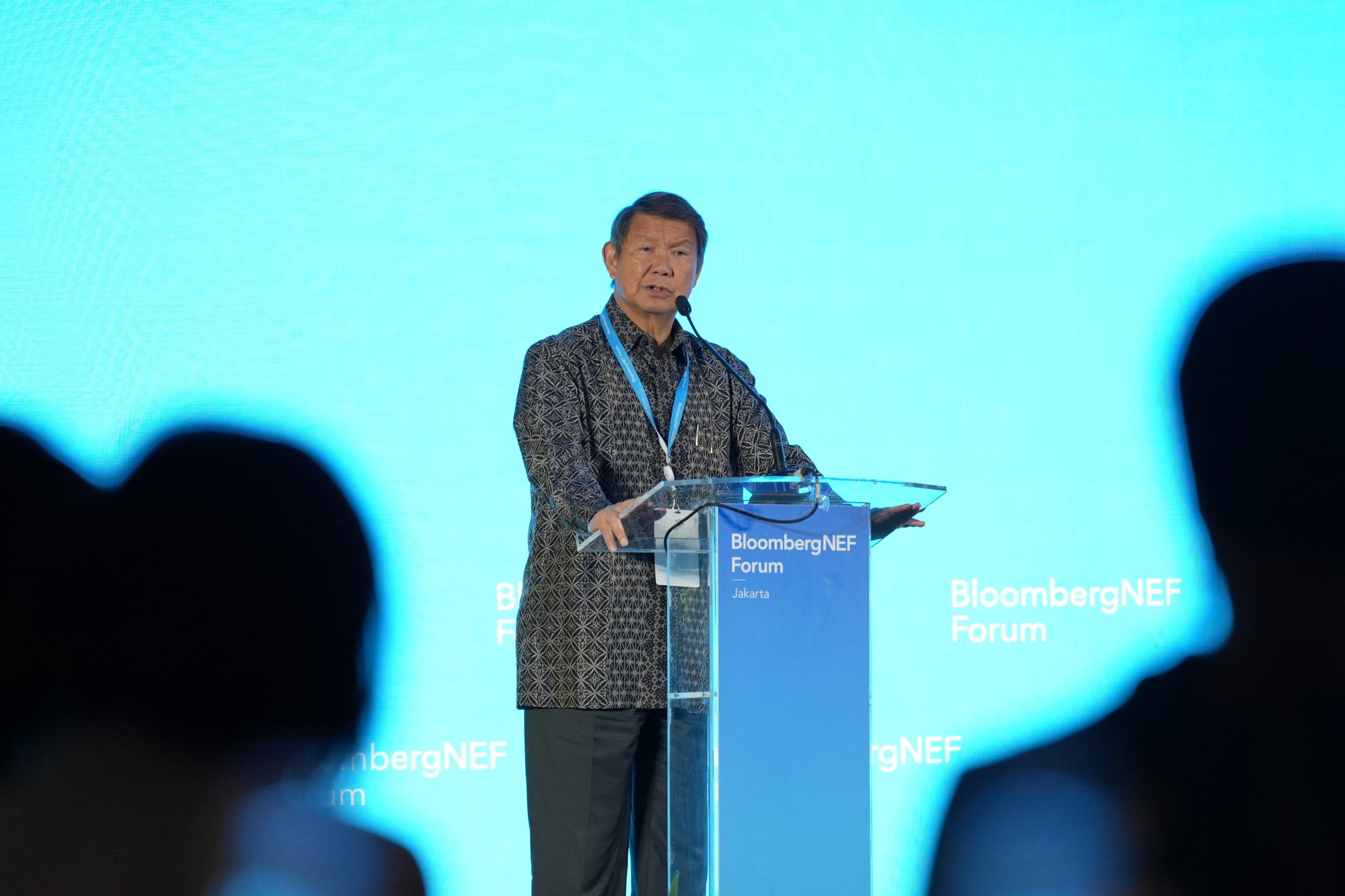 Hashim: Indonesia Gaspol Menuju Net Zero 2060, 75 Persen Energi Hijau di 2040